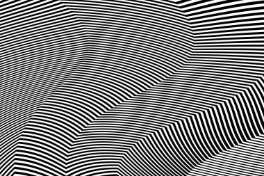 Zebra siyah ve beyaz çizgili vektör tasarımı