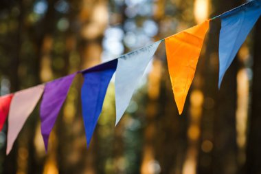 Doğum günü kutlaması için dekoratif parti flamalar