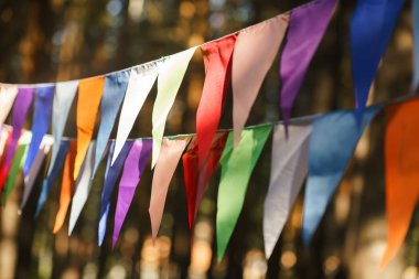 Doğum günü kutlaması için dekoratif parti flamalar