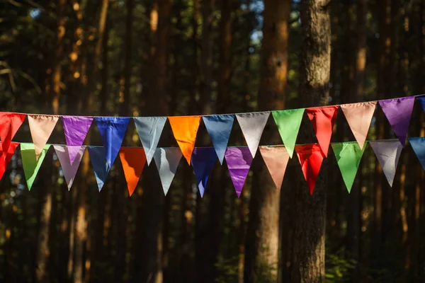 Decorative Party Pennants for Birthday Celebration