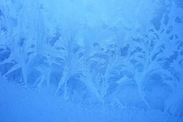 Fond bleu givre — Photo