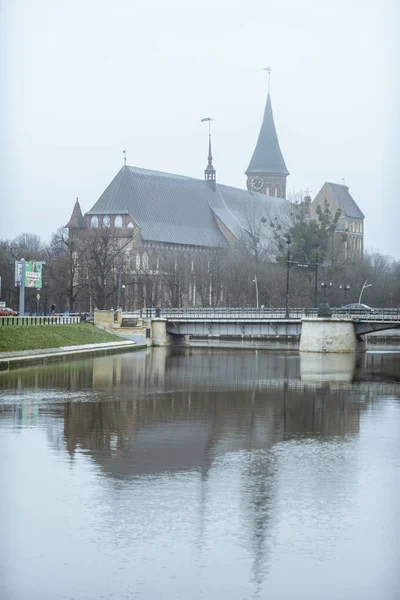 Catedral de Koenigsberg en la isla de Kneiphof — Foto de Stock