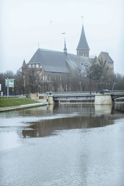 Koenigsbergs katedral på ön Kneiphof — Stockfoto