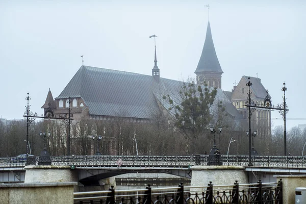 Catedral de Koenigsberg en la isla de Kneiphof — Foto de Stock