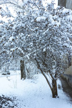 Kar altında kış parkı