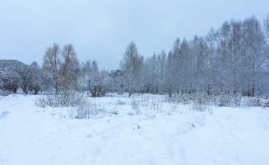 Kar altında kış parkı