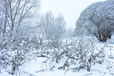 Kar altında kış parkı