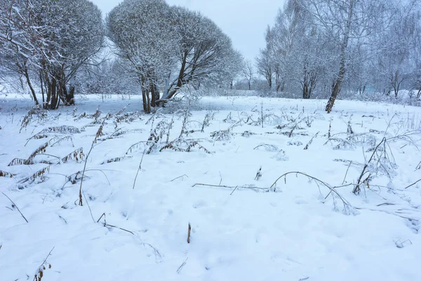 Parque de inverno na neve — Fotografia de Stock