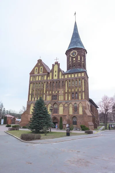 Cattedrale di Koenigsberg sull'isola di Kneiphof — Foto Stock