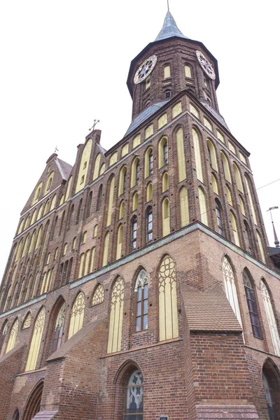 Cattedrale di Koenigsberg sull'isola di Kneiphof — Foto Stock