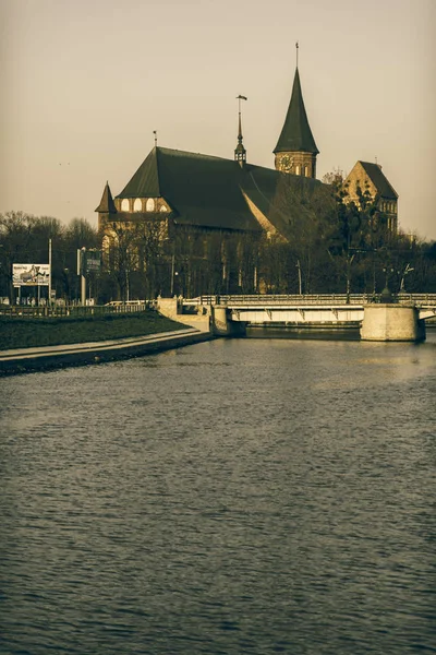 Catedral de Koenigsberg — Foto de Stock