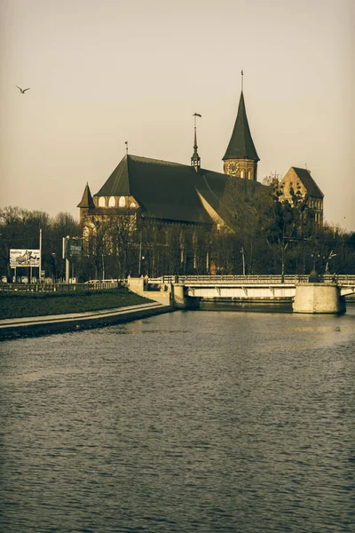 Cathedral of Koenigsberg — Stock Photo, Image