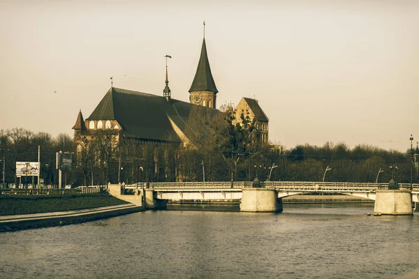 Catedral de Koenigsberg — Foto de Stock