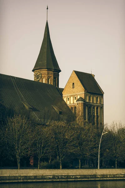Cattedrale di Koenigsberg — Foto Stock