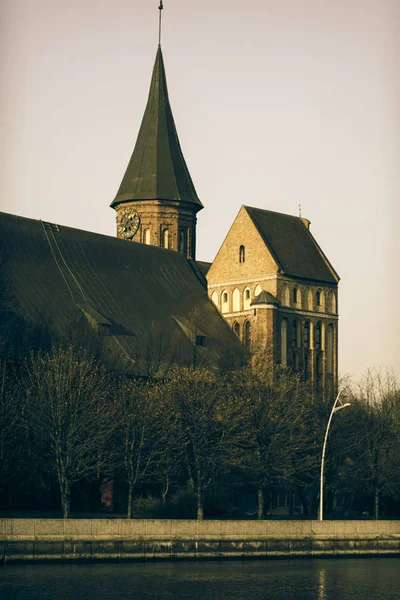 Cattedrale di Koenigsberg — Foto Stock