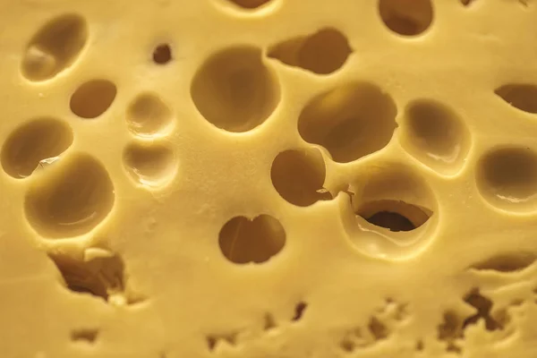 Hollandalı sert peynir Maasdam — Stok fotoğraf