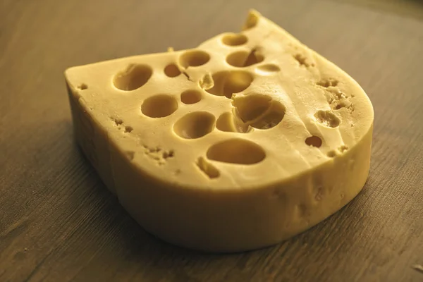 Голландська жорсткий сир Мааздам — стокове фото