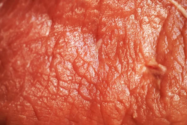 Raw Meat Beef Closeup — Stock Photo, Image
