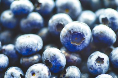 Taze Yaban Mersini Çiftçi Pazarı Düz