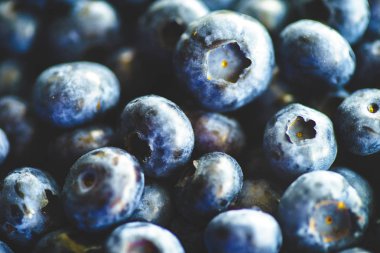 Taze Yaban Mersini Çiftçi Pazarı Düz