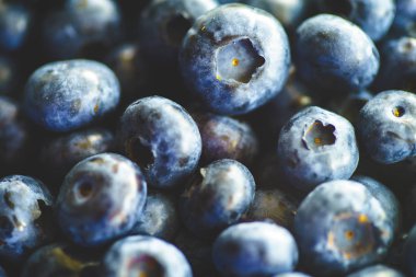 Taze Yaban Mersini Çiftçi Pazarı Düz