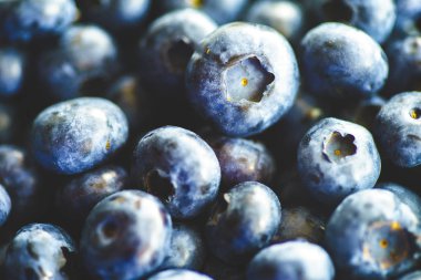 Taze Yaban Mersini Çiftçi Pazarı Düz