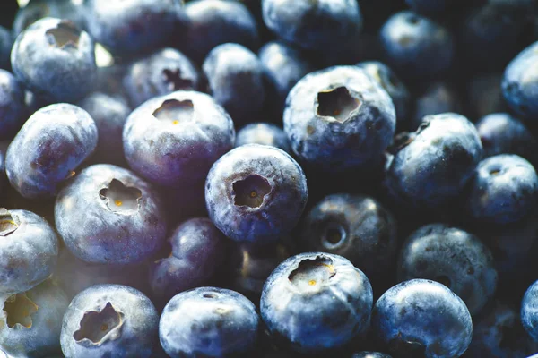 Bleuets frais directement du marché fermier — Photo