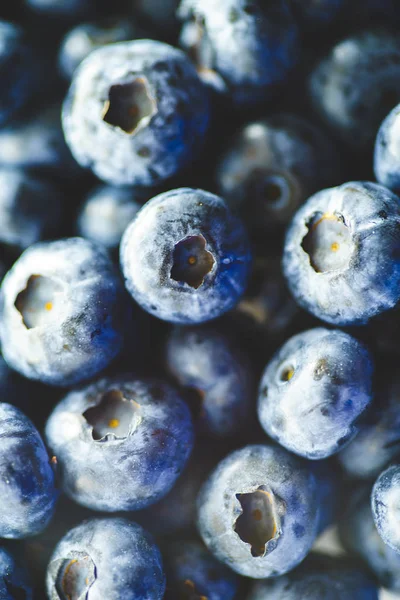 Taze Yaban Mersini Çiftçi Pazarı Düz