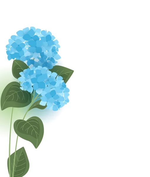 Flor de hortensia vectorial — Vector de stock