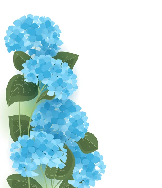 Vector hydrangea flower — Stock Vector