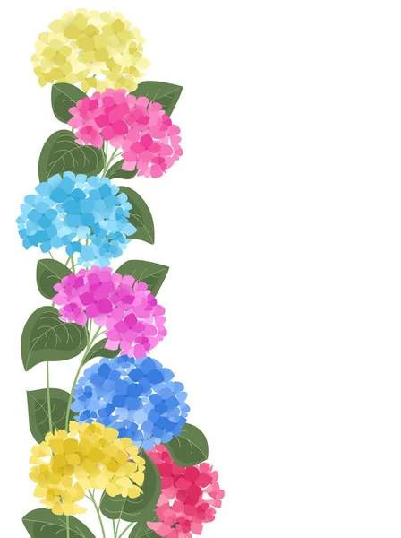 Flor de hortensia vectorial — Vector de stock