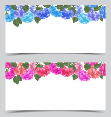 Vektör ortanca çiçek