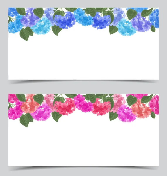 Vektör ortanca çiçek