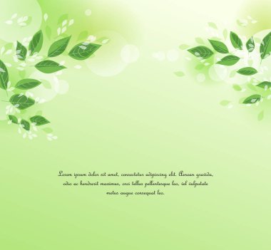 yeşil ağaç yaprakları