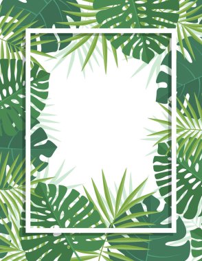 Palmiye yeşili yapraklar