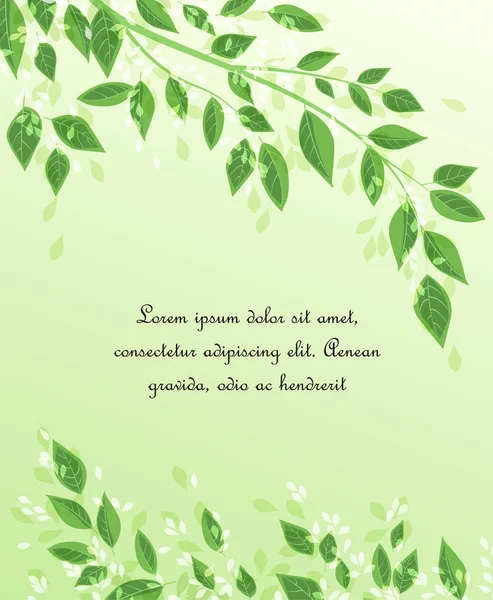 हिरव्या झाडाची पाने — स्टॉक व्हेक्टर