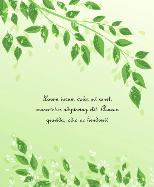 Foglie di albero verde — Vettoriale Stock