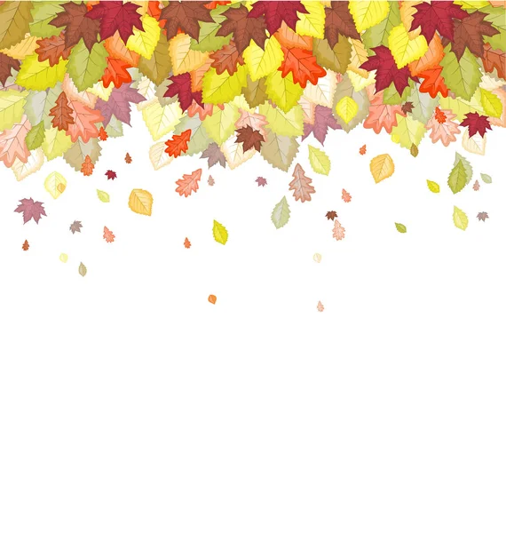 Feuille d'automne en couleurs — Image vectorielle