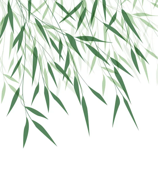 Bamboo gröna blad — Stock vektor