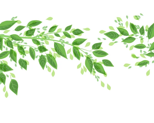 Zelené listy stromu — Stockový vektor