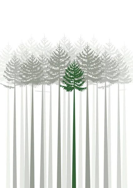 Лесные ели — стоковый вектор