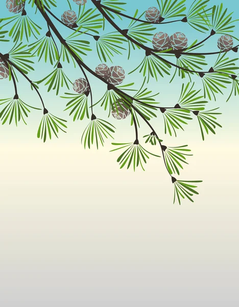 Décoration de branches de pin — Image vectorielle