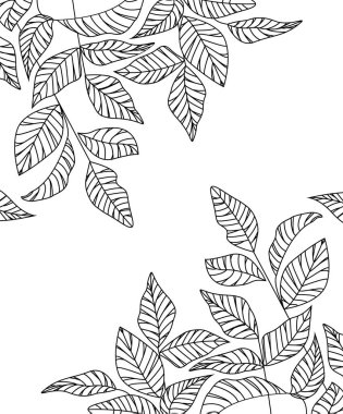 yaprakları ile doğal arka plan