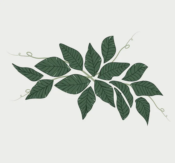 Fondo natural con hojas — Vector de stock