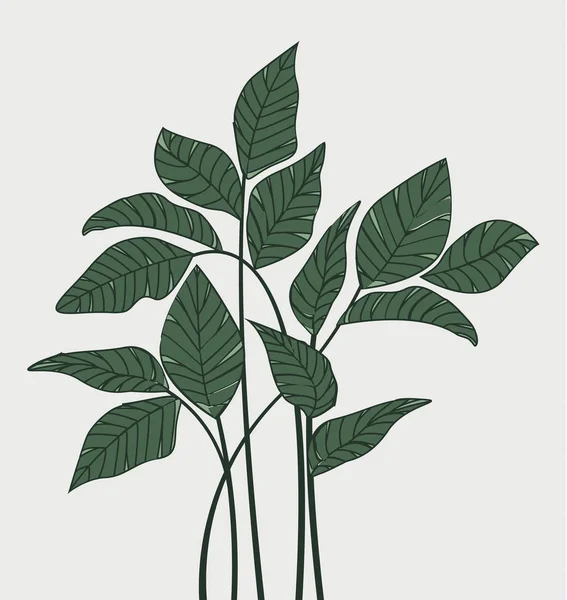 잎 자연 배경 — 스톡 벡터