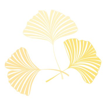 Ginkgo biloba yaprakları ile arka plan