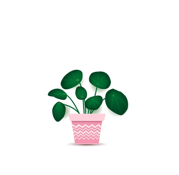 Saksıyı yeşil bitki — Stok Vektör