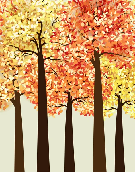 Autumn multicolored forest - Stok Vektor