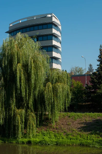 近代建築と自然の組み合わせ ブランスコ市オフィスビル チェコ南モラヴィア州 — ストック写真