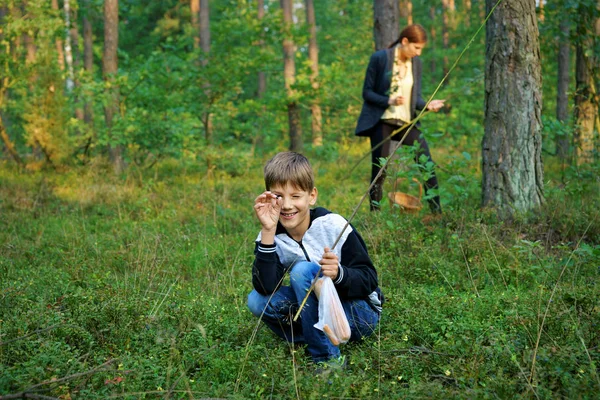 Boy Collecting Blueberries Mushrooms Background Woman Forest — Stock Photo, Image